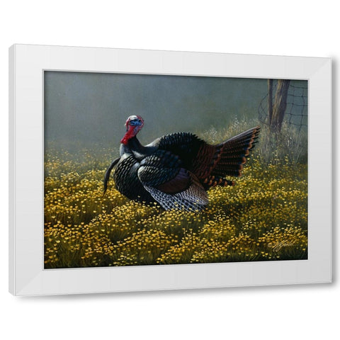 Belly Deep In Buttercups White Modern Wood Framed Art Print by Goebel, Wilhelm