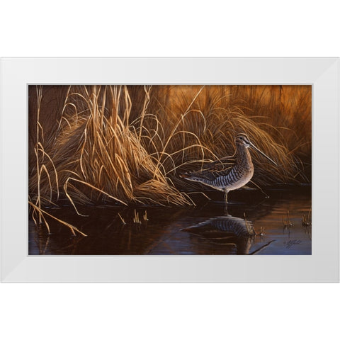 Evening Light - Snipe White Modern Wood Framed Art Print by Goebel, Wilhelm