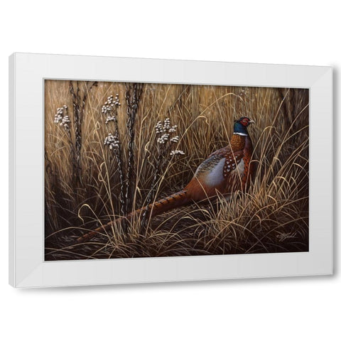 Pheasant In The Grass 2 White Modern Wood Framed Art Print by Goebel, Wilhelm