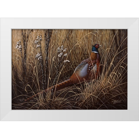 Pheasant In The Grass 2 White Modern Wood Framed Art Print by Goebel, Wilhelm