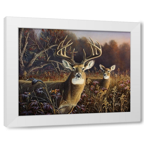 Deer White Modern Wood Framed Art Print by Goebel, Wilhelm
