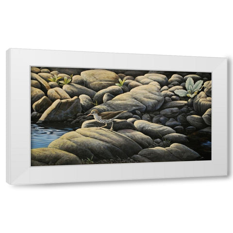 Along The Creek - Spotted Sandpiper White Modern Wood Framed Art Print by Goebel, Wilhelm