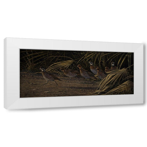 Breaking Cover - Bobwhites White Modern Wood Framed Art Print by Goebel, Wilhelm