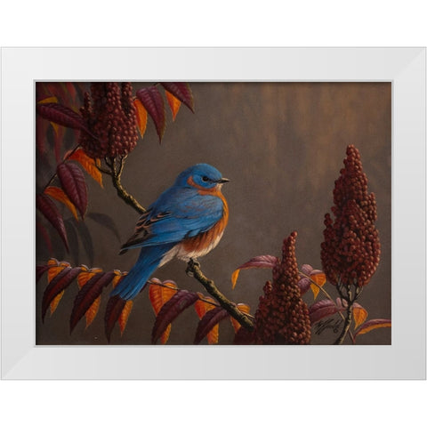 Autumn Bluebird White Modern Wood Framed Art Print by Goebel, Wilhelm