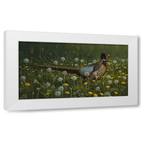 Dandy Rooster - Formosan Ring-necked Pheasant White Modern Wood Framed Art Print by Goebel, Wilhelm