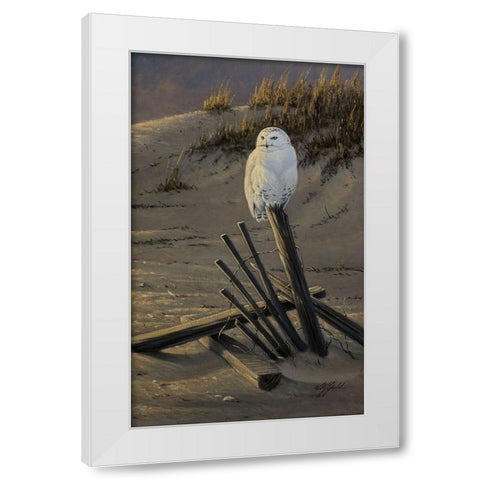 Dune Watcher - Snowy Owl White Modern Wood Framed Art Print by Goebel, Wilhelm