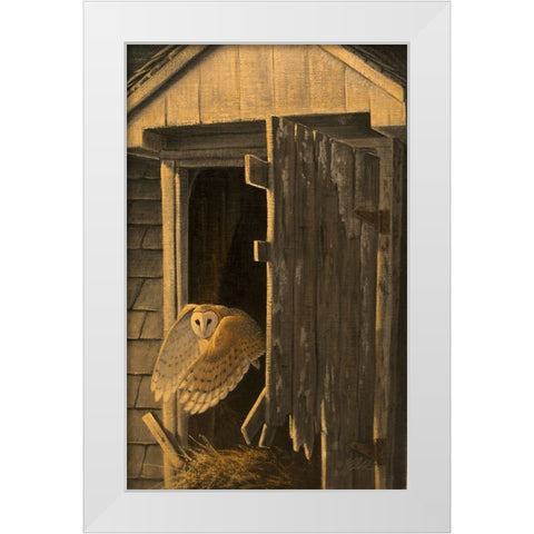 Out of the Darkness - Barn Owl White Modern Wood Framed Art Print by Goebel, Wilhelm