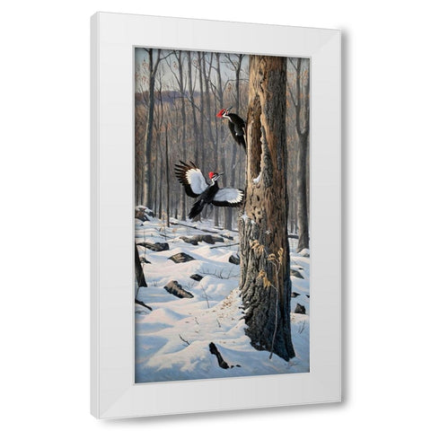 Swooping In - Pileated Woodpeckers White Modern Wood Framed Art Print by Goebel, Wilhelm