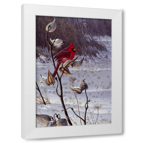 Cardinal And Milkweed White Modern Wood Framed Art Print by Goebel, Wilhelm