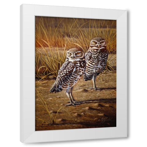 Burrowing Owls White Modern Wood Framed Art Print by Goebel, Wilhelm