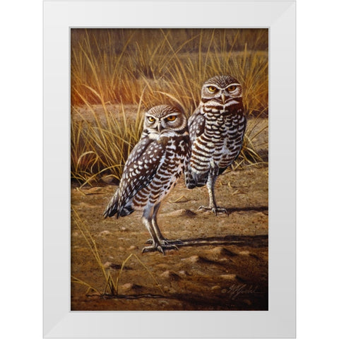 Burrowing Owls White Modern Wood Framed Art Print by Goebel, Wilhelm
