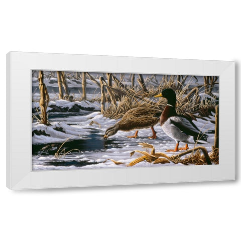 Spring Thaw - Mallards White Modern Wood Framed Art Print by Goebel, Wilhelm