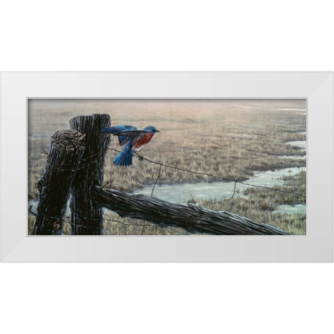 April Showers - Eastern Bluebird White Modern Wood Framed Art Print by Goebel, Wilhelm