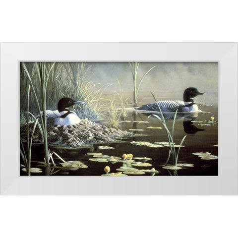 Nesting Loons White Modern Wood Framed Art Print by Goebel, Wilhelm