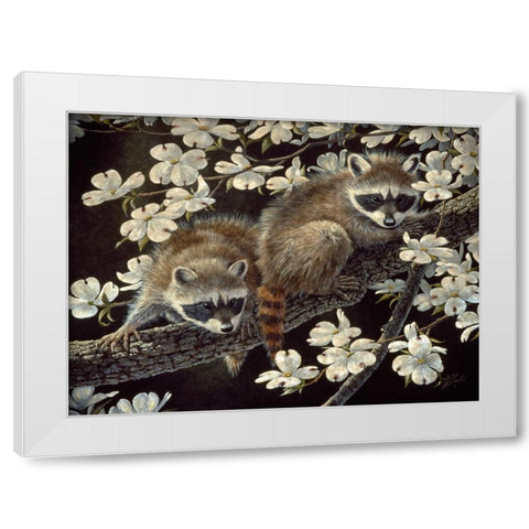 Dogwood Hideout - Young Raccoons White Modern Wood Framed Art Print by Goebel, Wilhelm