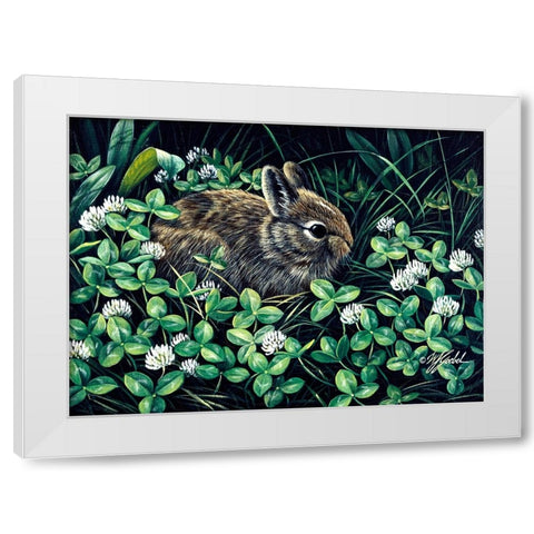 In Clover White Modern Wood Framed Art Print by Goebel, Wilhelm