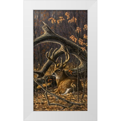 Bedded Buck White Modern Wood Framed Art Print by Goebel, Wilhelm