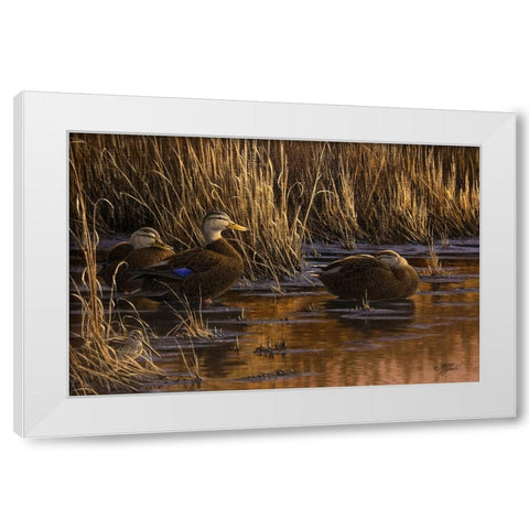 Belly Deep and Half Asleep White Modern Wood Framed Art Print by Goebel, Wilhelm