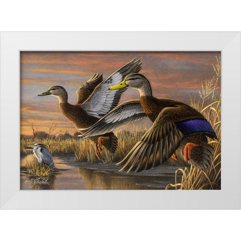 Black Ducks White Modern Wood Framed Art Print by Goebel, Wilhelm