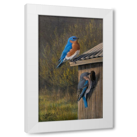 Bluebirds at Home White Modern Wood Framed Art Print by Goebel, Wilhelm