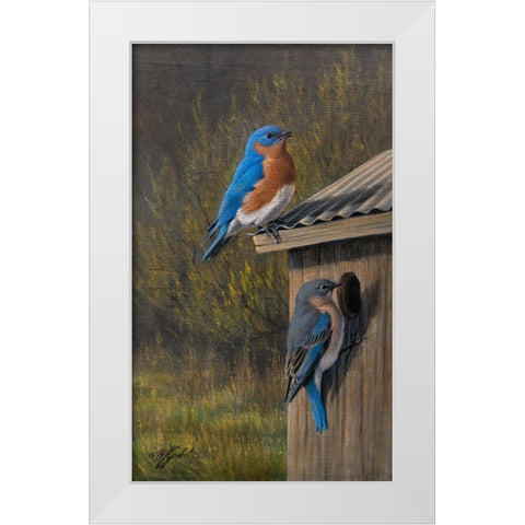 Bluebirds at Home White Modern Wood Framed Art Print by Goebel, Wilhelm