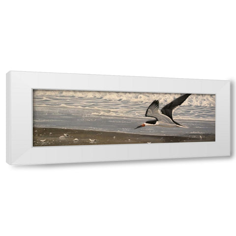 Flying Solo White Modern Wood Framed Art Print by Goebel, Wilhelm