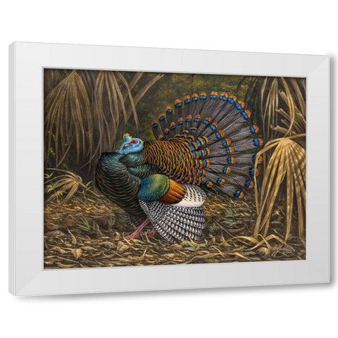 Ocellated Turkey White Modern Wood Framed Art Print by Goebel, Wilhelm