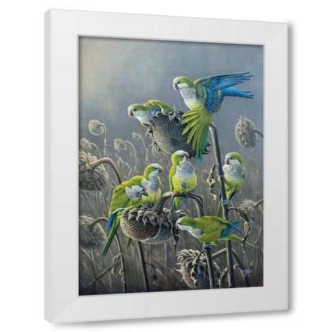 Parakeet Treat White Modern Wood Framed Art Print by Goebel, Wilhelm