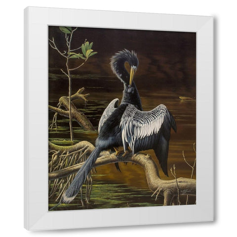 Preening Anhinga White Modern Wood Framed Art Print by Goebel, Wilhelm