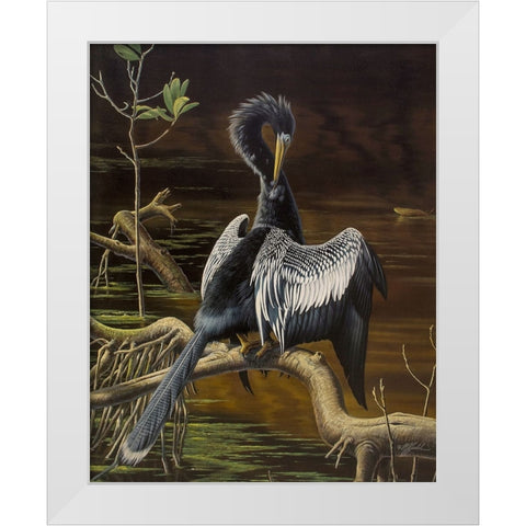 Preening Anhinga White Modern Wood Framed Art Print by Goebel, Wilhelm