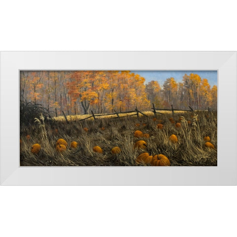 Pumpkin Patch White Modern Wood Framed Art Print by Goebel, Wilhelm