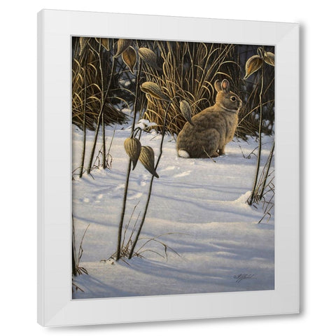Winter Cottontail White Modern Wood Framed Art Print by Goebel, Wilhelm