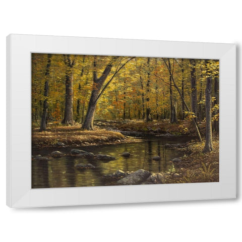 Woodland Brook White Modern Wood Framed Art Print by Goebel, Wilhelm
