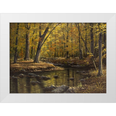 Woodland Brook White Modern Wood Framed Art Print by Goebel, Wilhelm