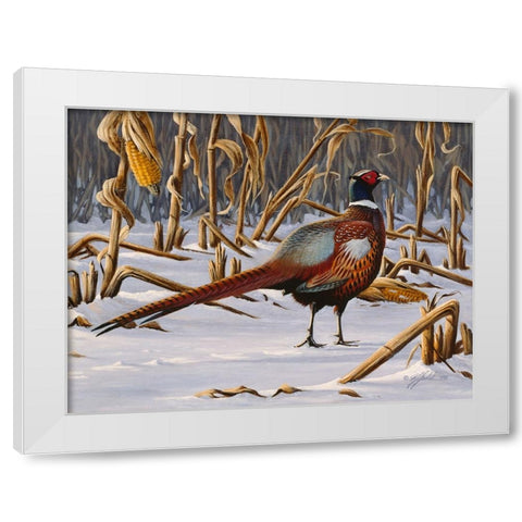 Corn Row Ringneck White Modern Wood Framed Art Print by Goebel, Wilhelm