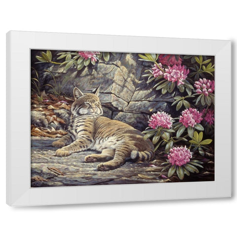 Bee Watching Bobcat White Modern Wood Framed Art Print by Goebel, Wilhelm
