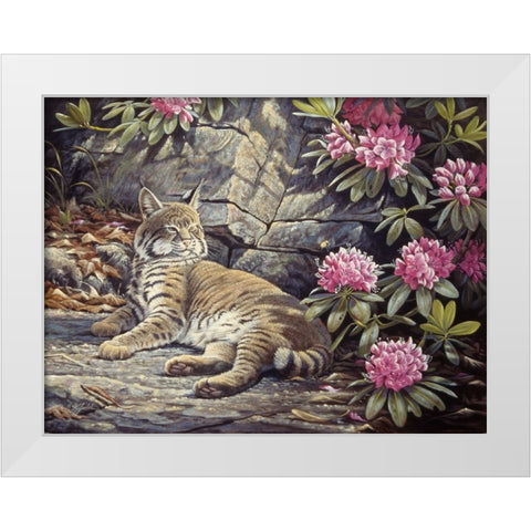 Bee Watching Bobcat White Modern Wood Framed Art Print by Goebel, Wilhelm