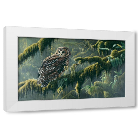 Spirit Of Ancient Forests - Spotted Owl White Modern Wood Framed Art Print by Goebel, Wilhelm
