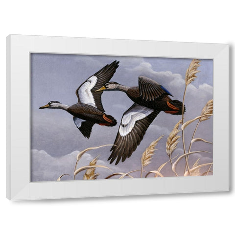1982/1983 Black Ducks White Modern Wood Framed Art Print by Goebel, Wilhelm