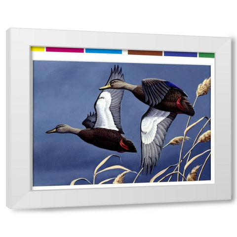 1984 Black Ducks White Modern Wood Framed Art Print by Goebel, Wilhelm
