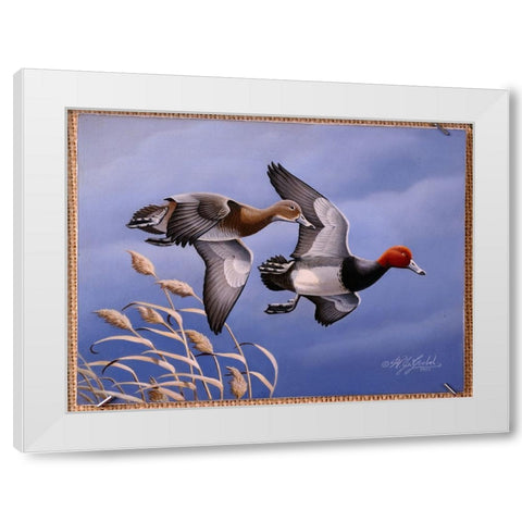 1986 Redhead Ducks White Modern Wood Framed Art Print by Goebel, Wilhelm