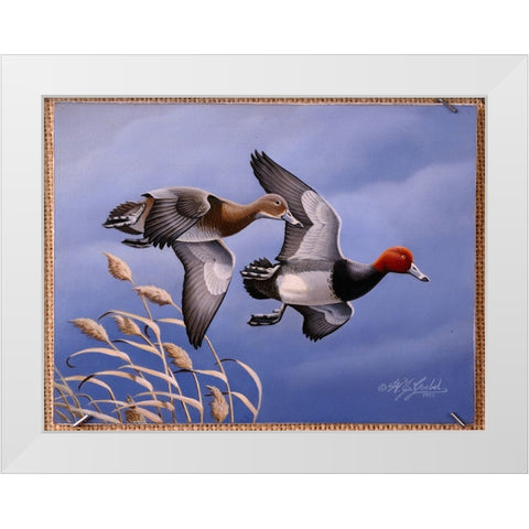 1986 Redhead Ducks White Modern Wood Framed Art Print by Goebel, Wilhelm