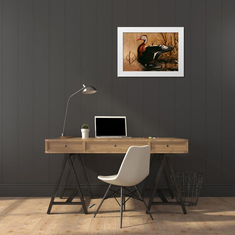 1988 Black Bellied Whistling Duck White Modern Wood Framed Art Print by Goebel, Wilhelm