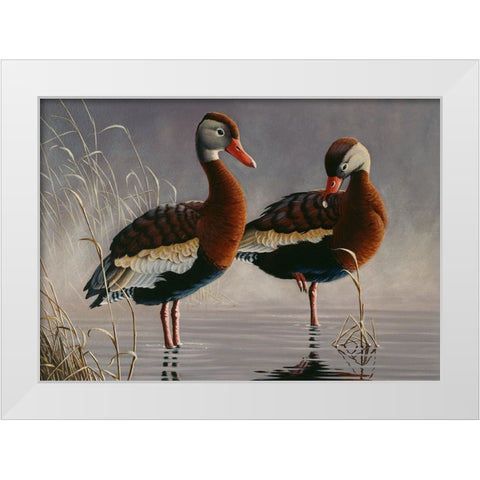1989 Black Bellied Whistling Duck White Modern Wood Framed Art Print by Goebel, Wilhelm
