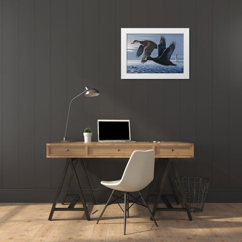 1990 Black Scoters White Modern Wood Framed Art Print by Goebel, Wilhelm