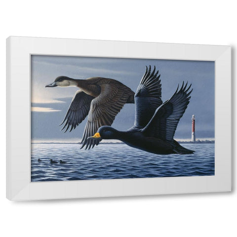 1990 Black Scoters White Modern Wood Framed Art Print by Goebel, Wilhelm