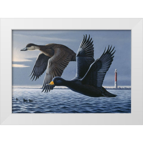 1990 Black Scoters White Modern Wood Framed Art Print by Goebel, Wilhelm