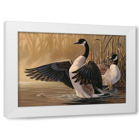 1994 Canada Geese White Modern Wood Framed Art Print by Goebel, Wilhelm