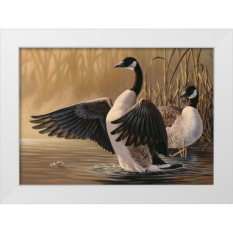 1994 Canada Geese White Modern Wood Framed Art Print by Goebel, Wilhelm