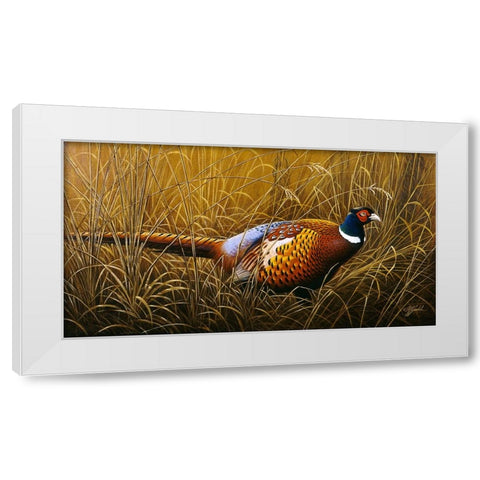 Sneaking Through The Long Grass - Ring Neck Pheasant White Modern Wood Framed Art Print by Goebel, Wilhelm